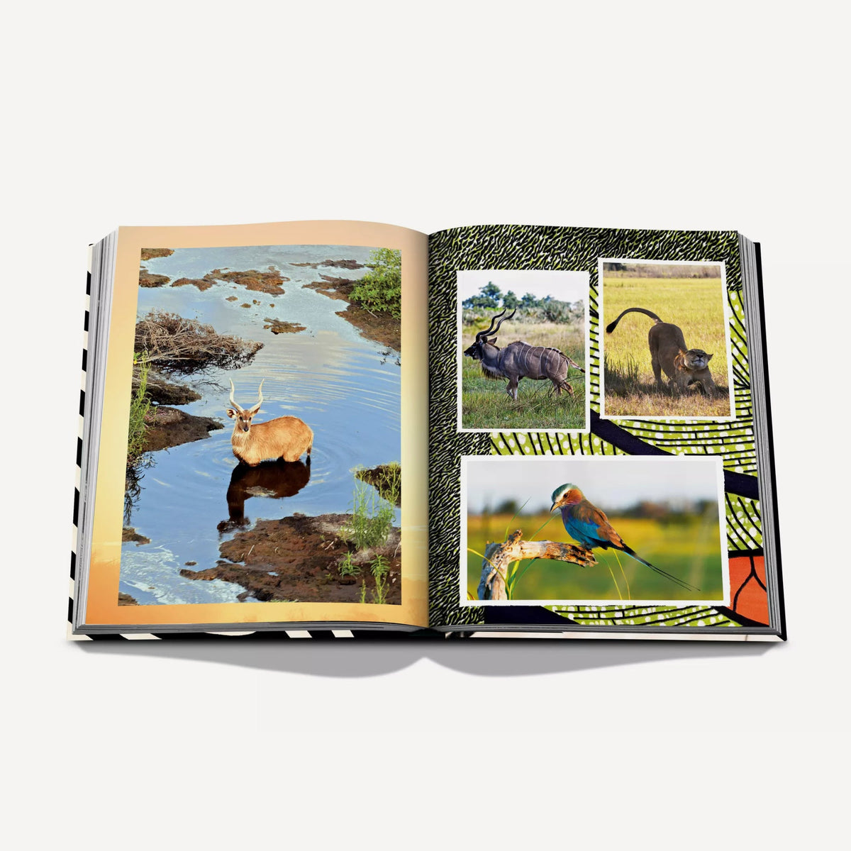 Assouline African Adventures The Greatest Safari on Earth