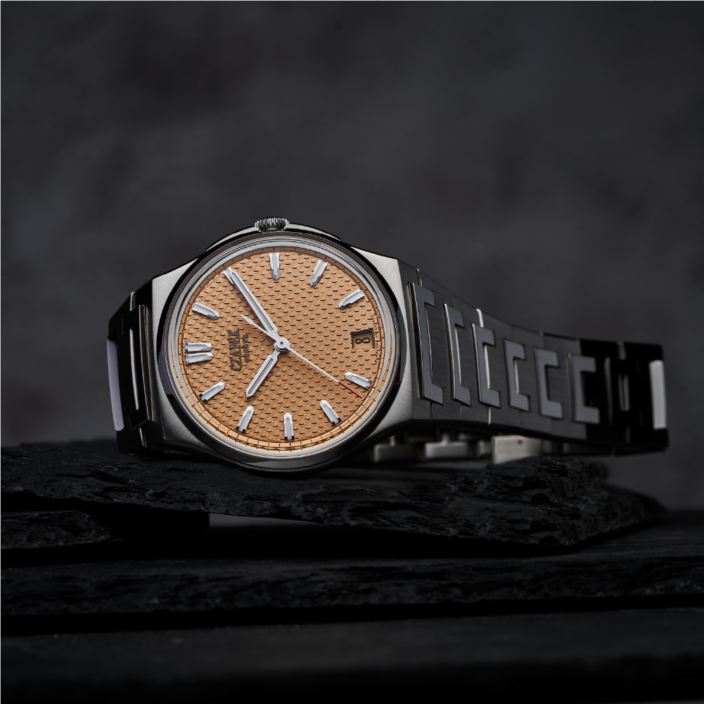CZAPEK Antarctique Passage De Drake S 'Salmon'