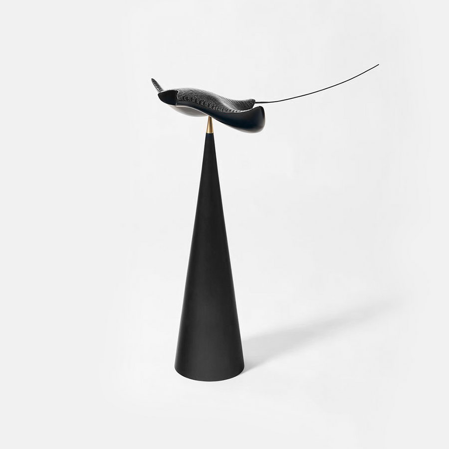 Hyunjin-Seoul Flying Manta-Ray